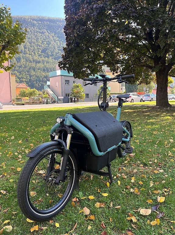Velos: Vélo cargo électrique Riese & Müller Carrie vario – Gebraucht aus Martigny von Bikenjoy
