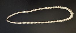 Weiss-Rosa Korallenkette
