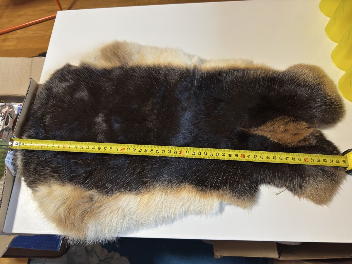 Il mondo degli animali: Kaninchenfell  – Nuovo (secondo la descrizione) da Grossaffoltern venduto da sherry73 2