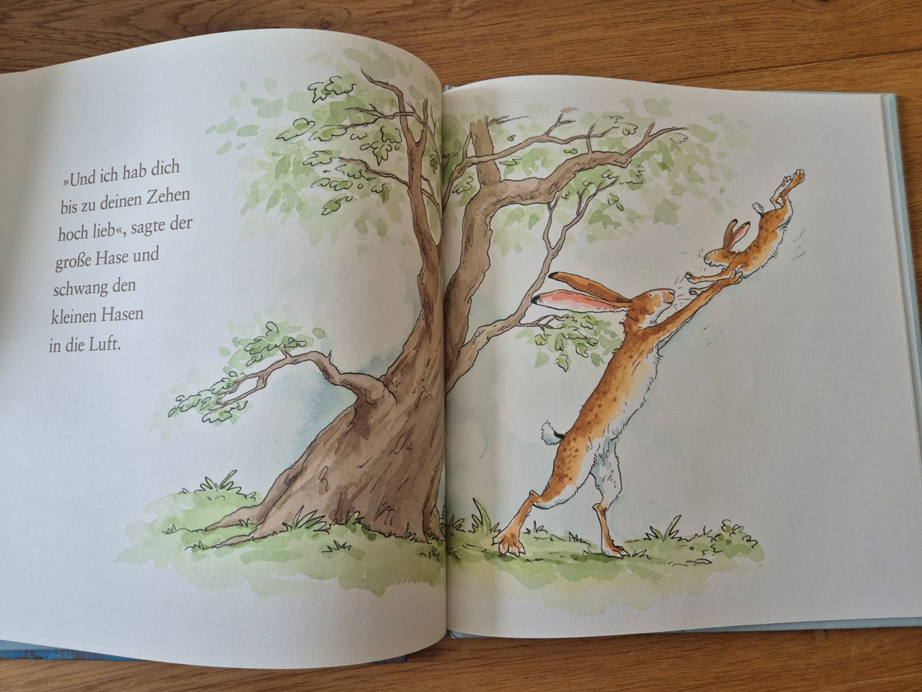 Libri: Weisst du eigentlich wie lieb ich dich hab – Usato da Wilen b. Wil venduto da norina30 2
