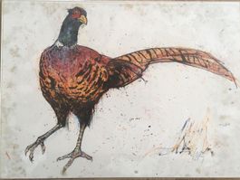 Fasan von Fritz Hug „Schweizer Fauna“ Lithographie A3