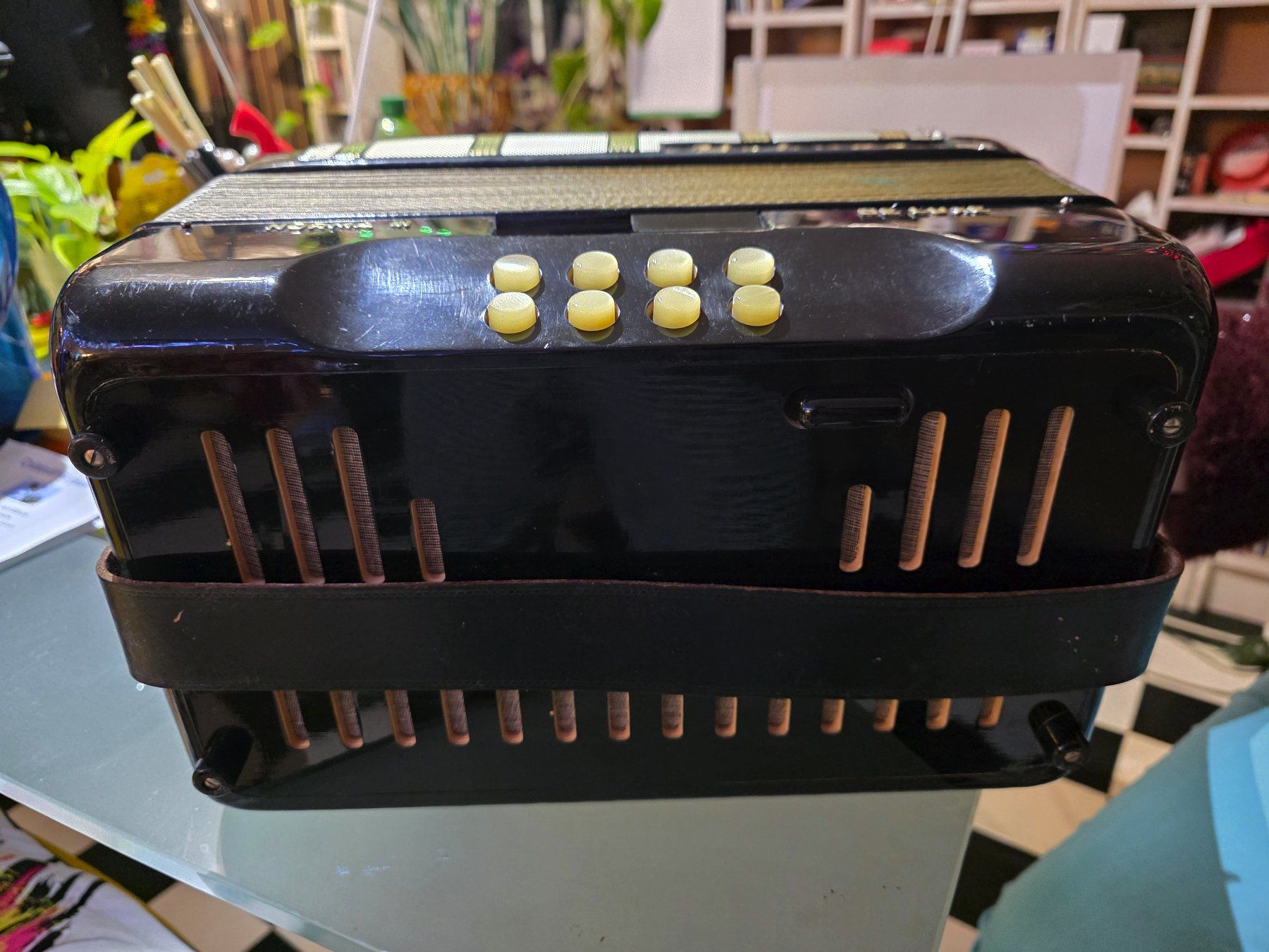 Strumenti musicali: Schwyzer Örgeli plus Hohner Norma III Deluxe – Usato da Mellikon venduto da Musikgarantie 7
