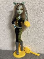 Monster High Frankie Freaky Fusion