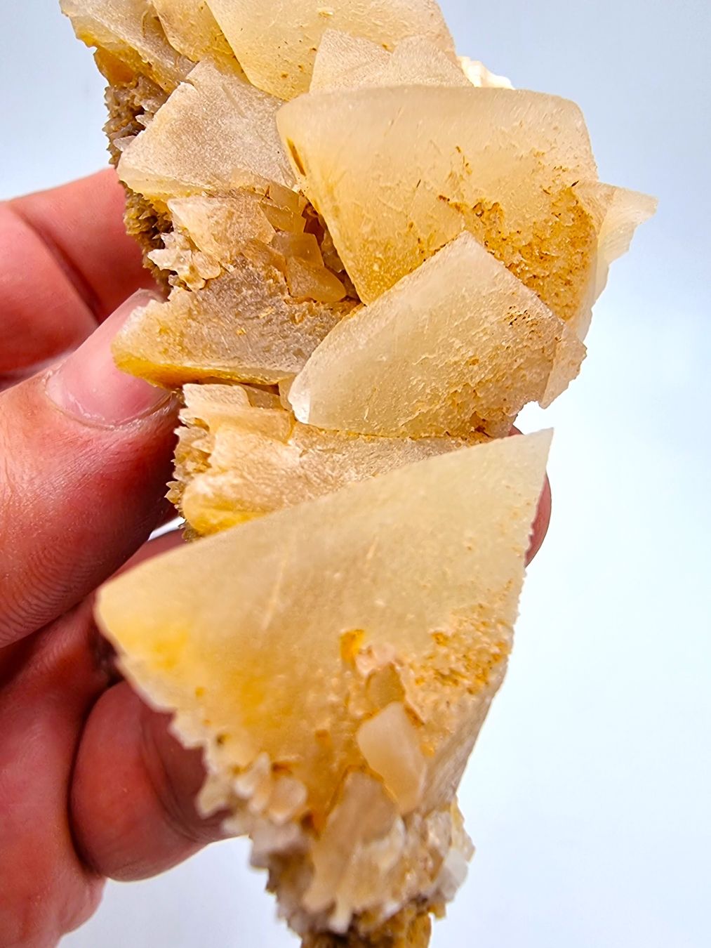 Minerali & Pietre curative: Calcite Crystals - Bern, Switzerland – Usato da Figino venduto da panshop 5
