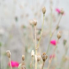 Profile image of Einauda
