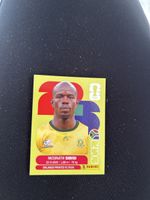 Panini RSA 10