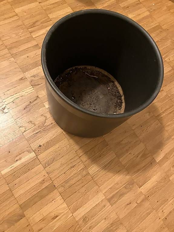Pots de fleurs: Grosser Übertopf schwarz – D'occasion à Basel par jon_z292 1