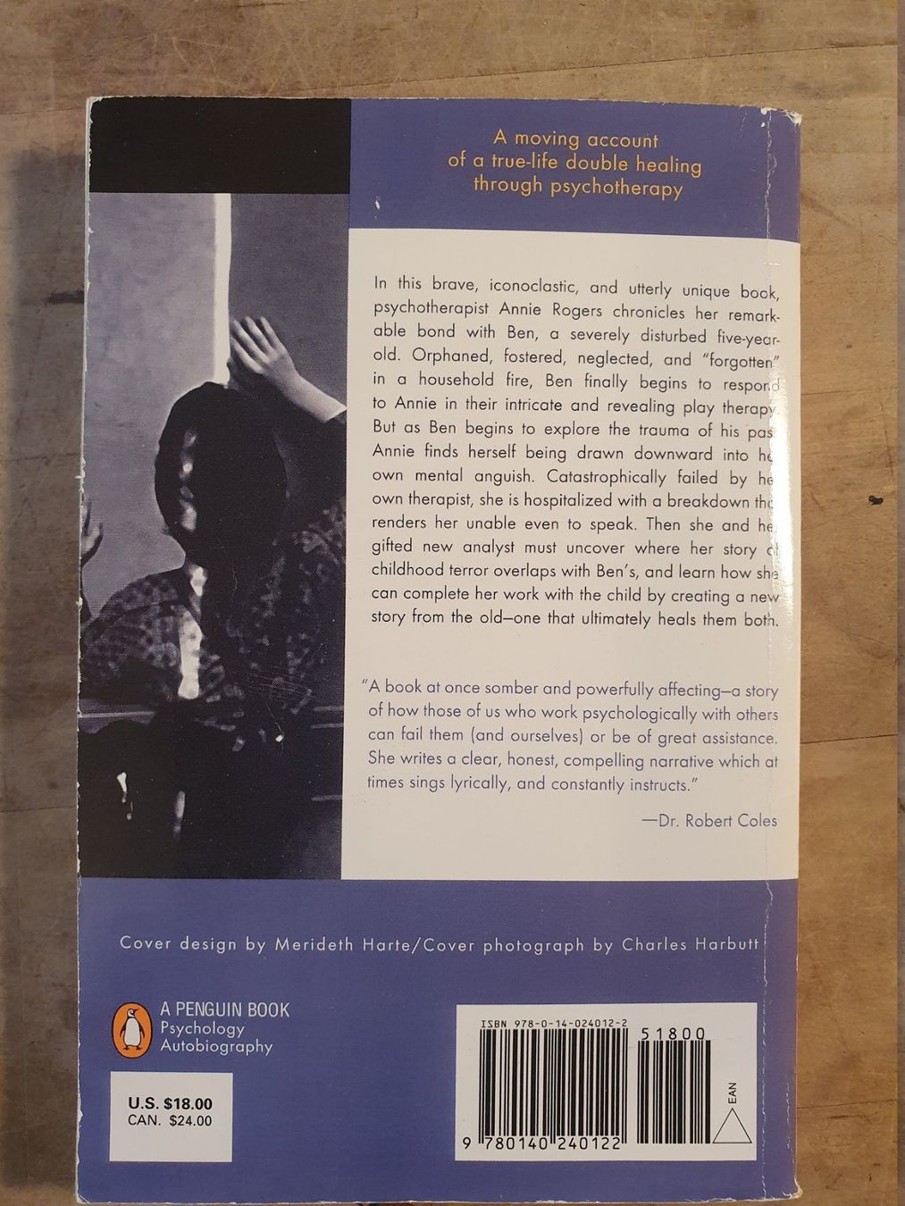 Libri: A Shining Affliction Annie G. Rogers Pengin – Usato da Zürich venduto da loosebone 1