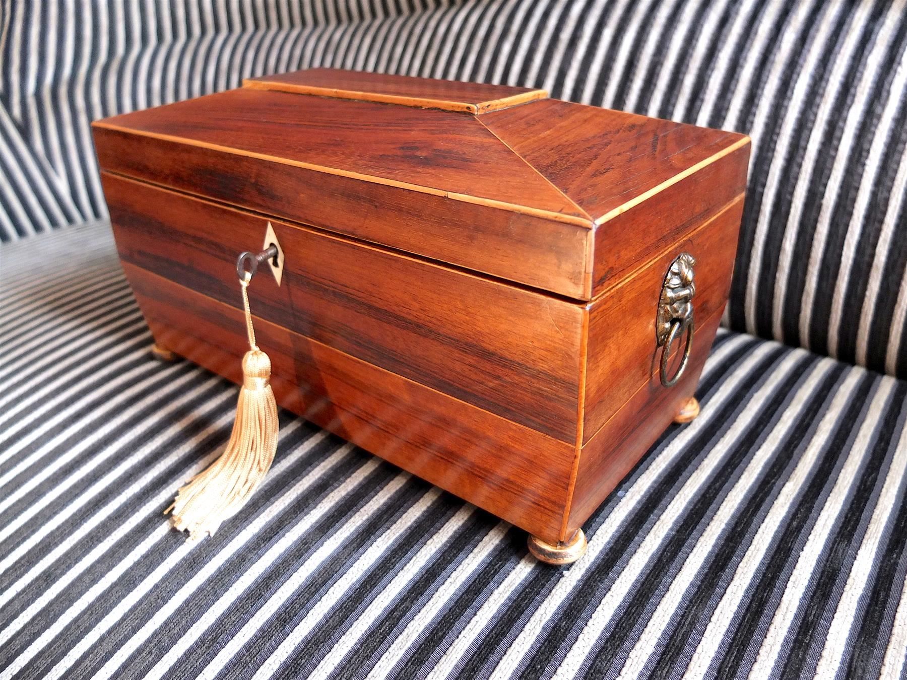 Barattoli: B0115 Tea Caddy/Tee-Schatulle mit Löwenköpfen Regency ~1820 – Usato da Horgen venduto da Antiqueboxes