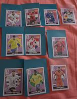 Panini Extra Stickers Rares