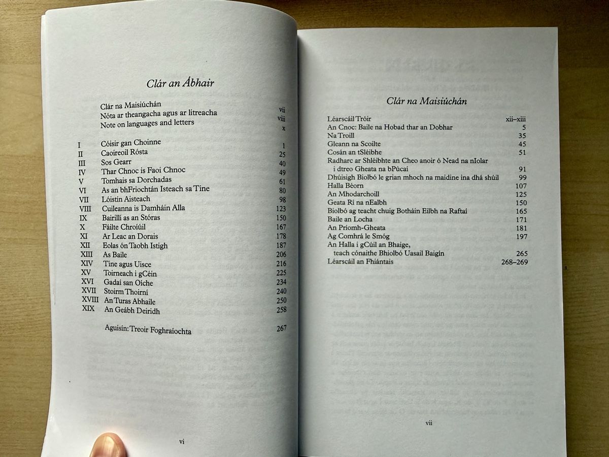 Bücher: Irish Language Books Set: Learn Gaelic & Enjoy Tolkien! – Gebraucht aus Utzenstorf von Victoria666 7