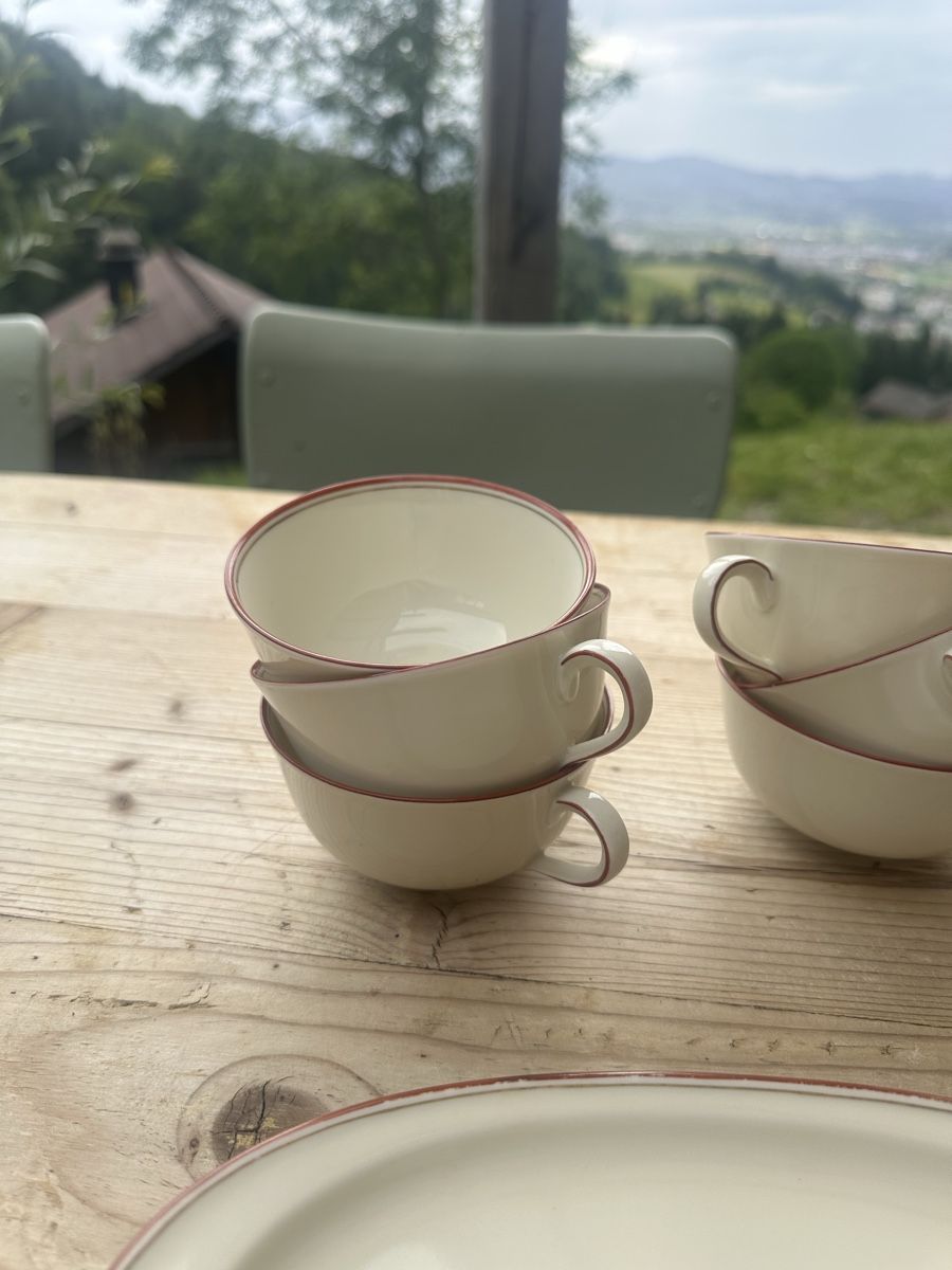 Set di piatti: Antikes Geschirrset creme farbig mit rotem Rand – Usato da Steffisburg venduto da fba_gmb7 2