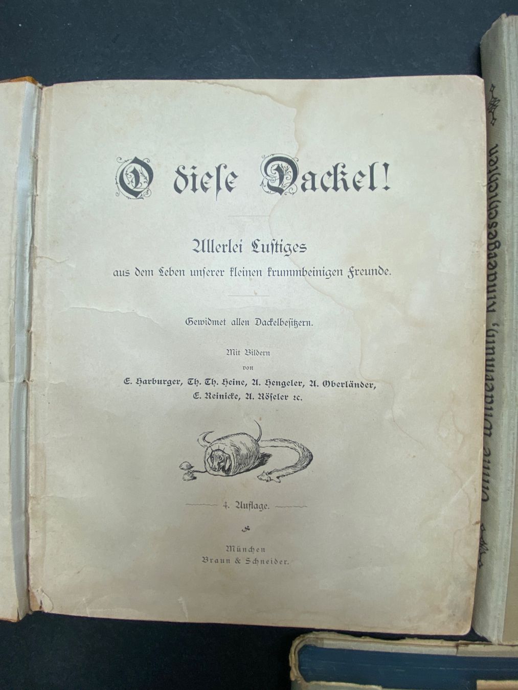 Libri: Lot  Geschichten – Usato da Rüti ZH venduto da Diana7770 4