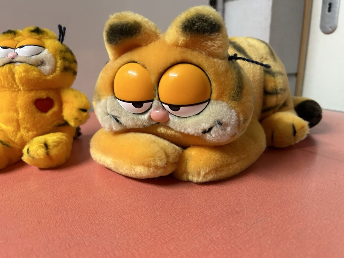 Giocattoli: Garfield Plüschtiere 2 Stück Zustand gut – Usato da Lanzenhäusern venduto da vic63 2