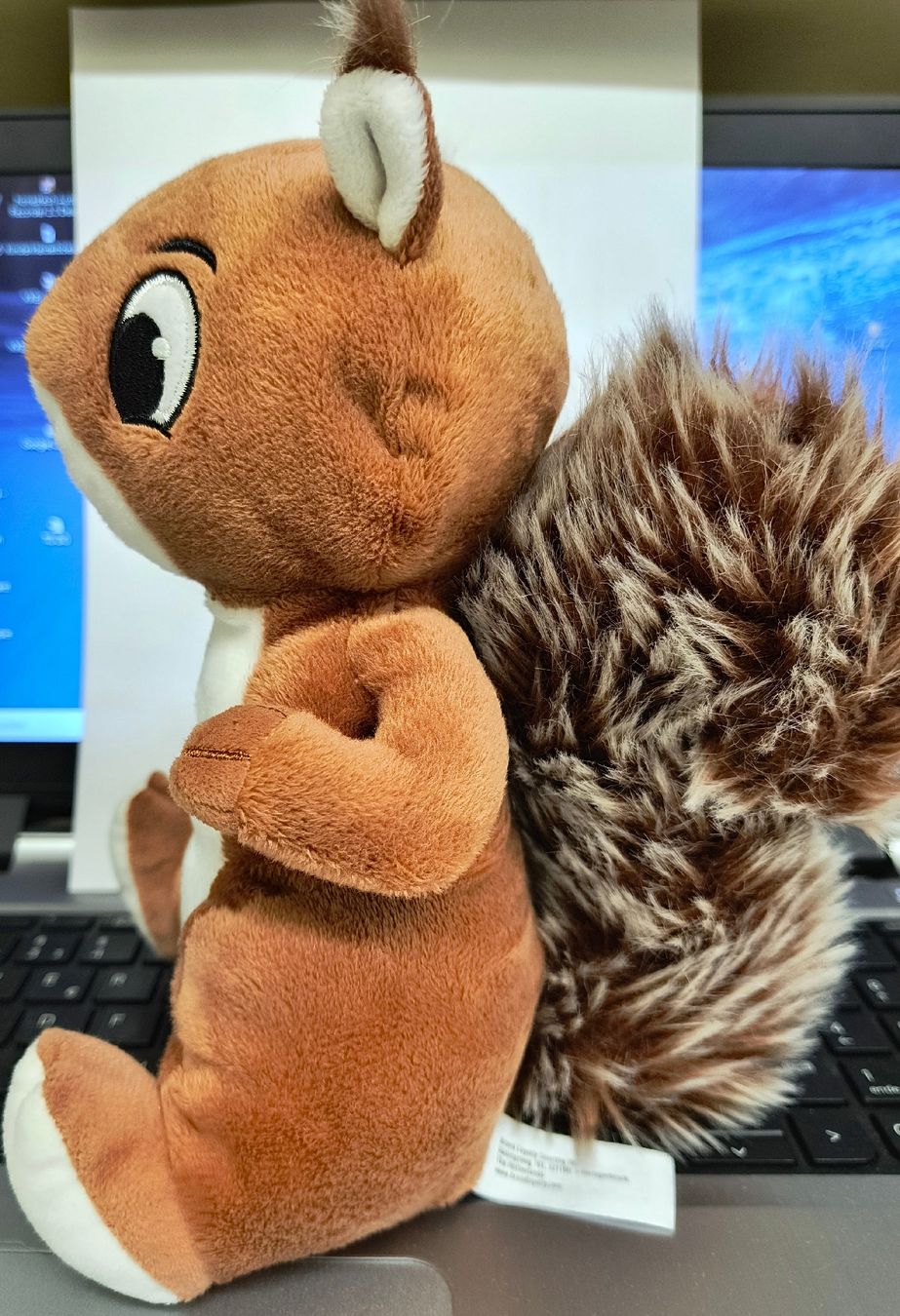 Spielzeuge: Eichhörnchen Plüschtier – Gebraucht aus Schöfflisdorf von kin_2dp9 3