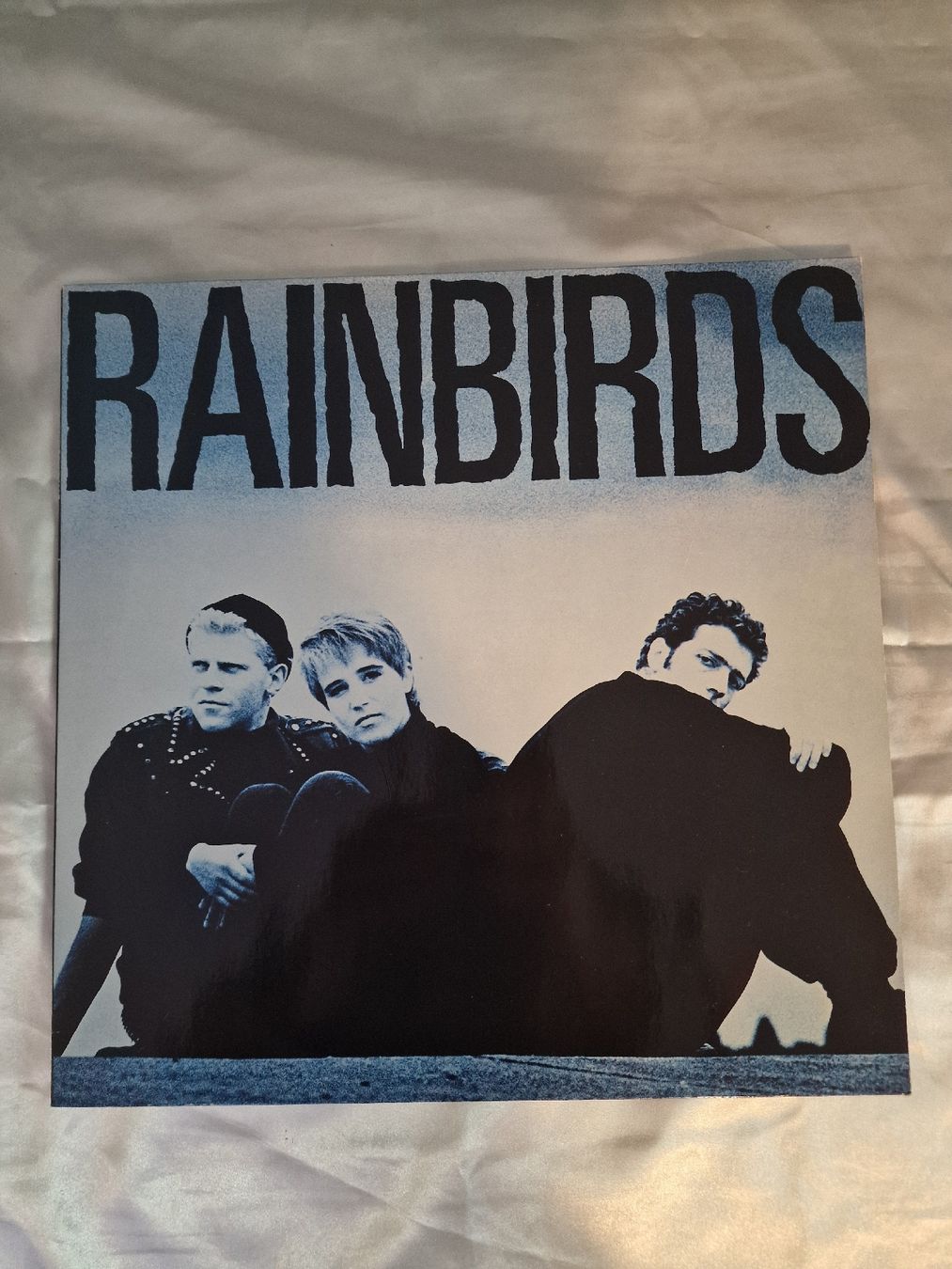 Dischi in vinile: Rainbirds - Rainbirds – Usato da Pfaffnau venduto da gunport