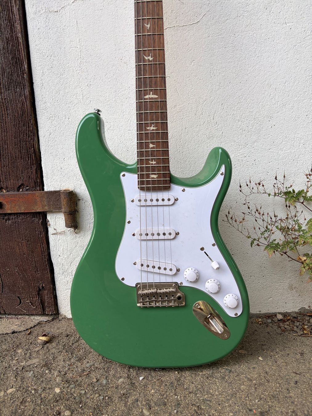 Strumenti musicali: E-Gitarre PRS SE Standard 24 Grün – Usato da Müntschemier venduto da R.e.b.e.c.c.a 3