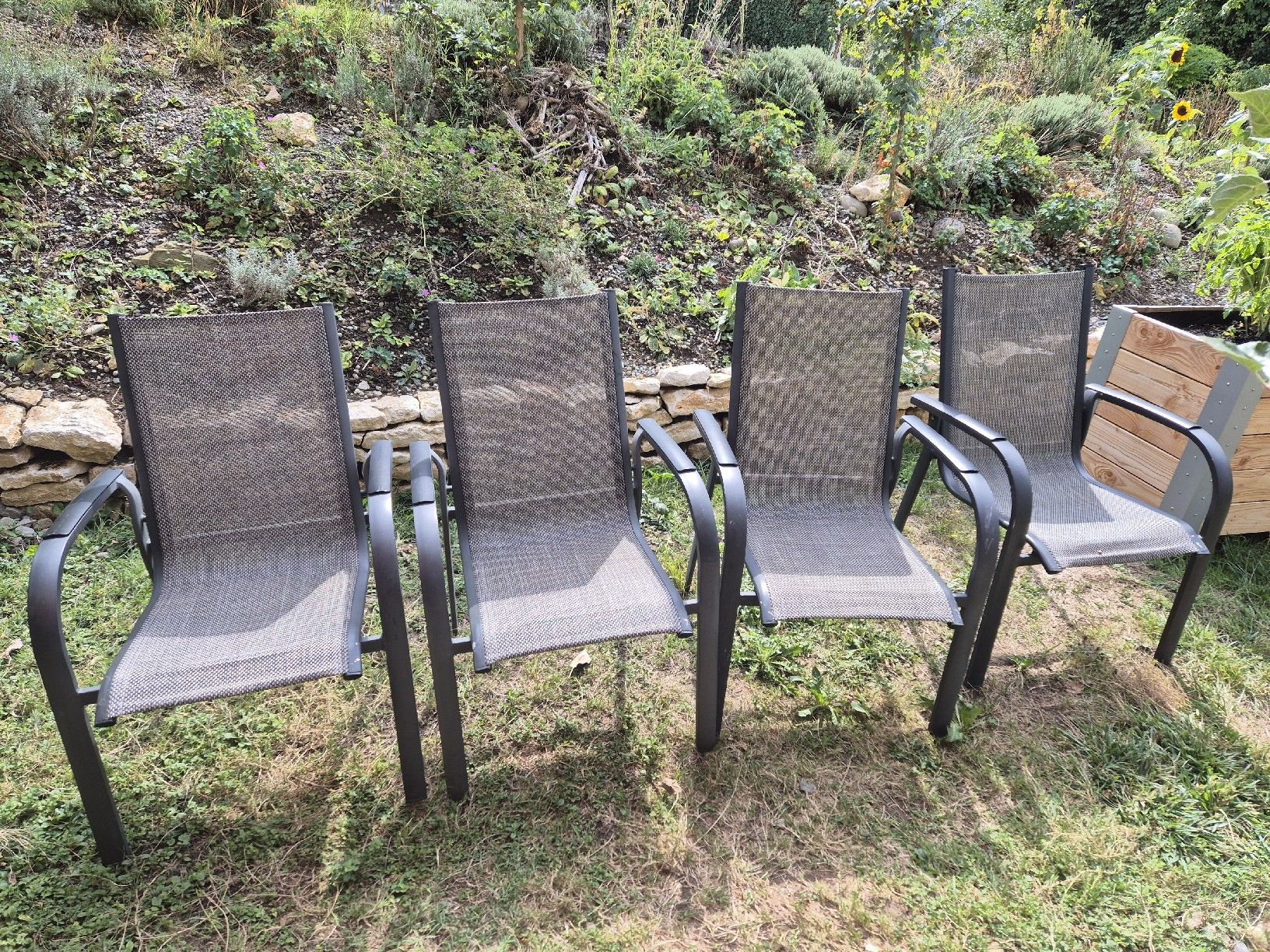 Chaises: 4 Gartenstühle – D'occasion à Urdorf par sulsenad