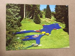 AK Insel Mainau Blumen Relief vom Bodensee