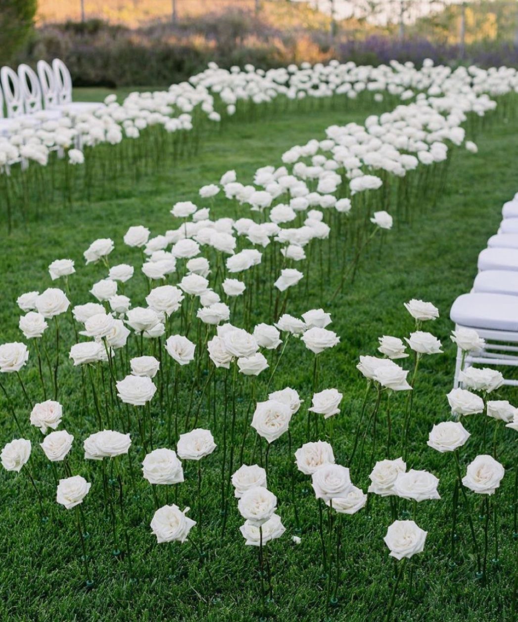 Vasen & Gefässe: 29 Stk. Blumenröhrchen, Orchideenvase, mit Deckel – Gebraucht aus Zürich von blancali 4