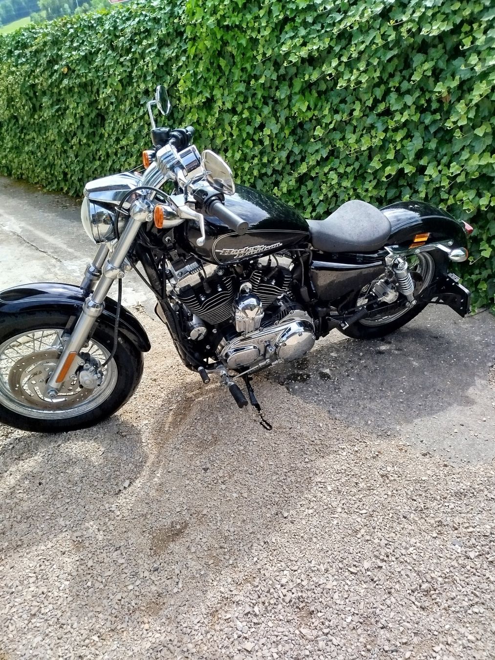 Harley-Davidson Chopper: Harkey-Davidson XL 1200C – Usato da Broc venduto da Ruff1 3