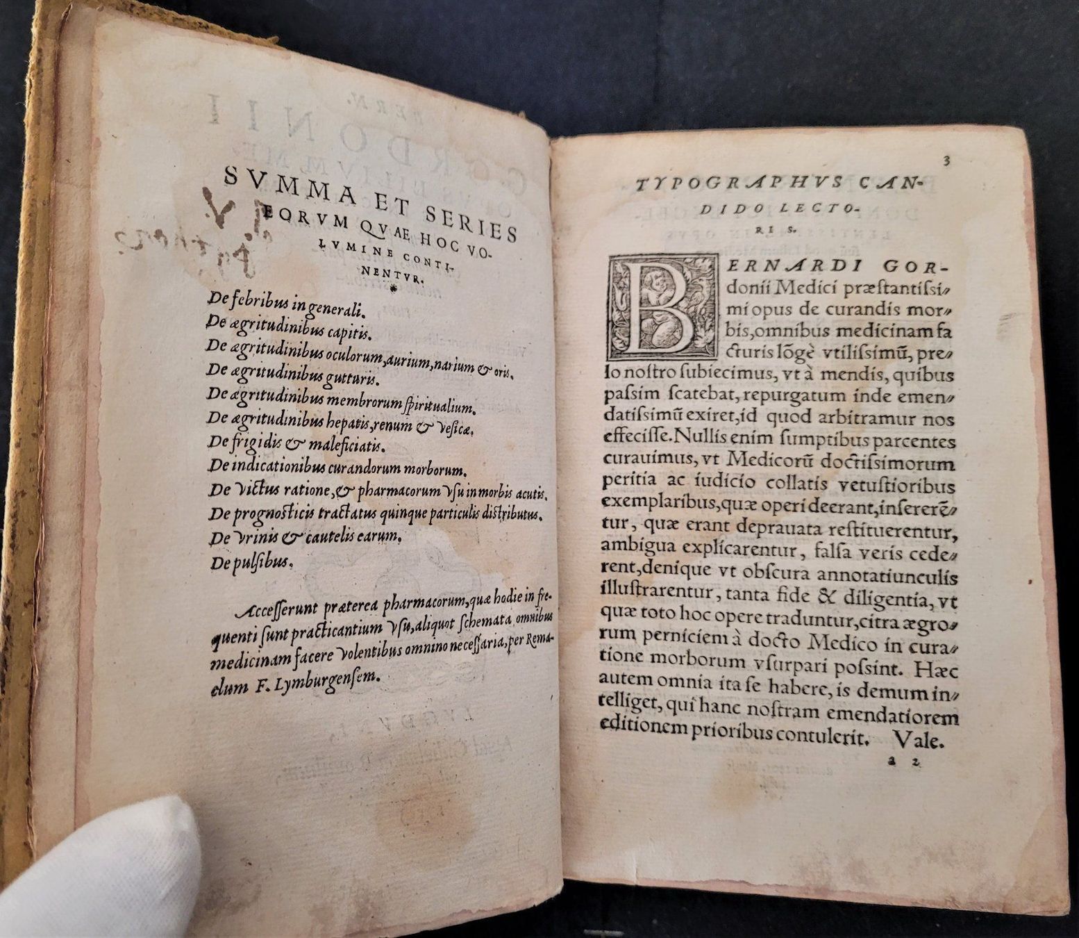 Bücher: Opus lilium medicinae, Lyon 1550 – Gebraucht aus Bourguillon von Lucas111 3
