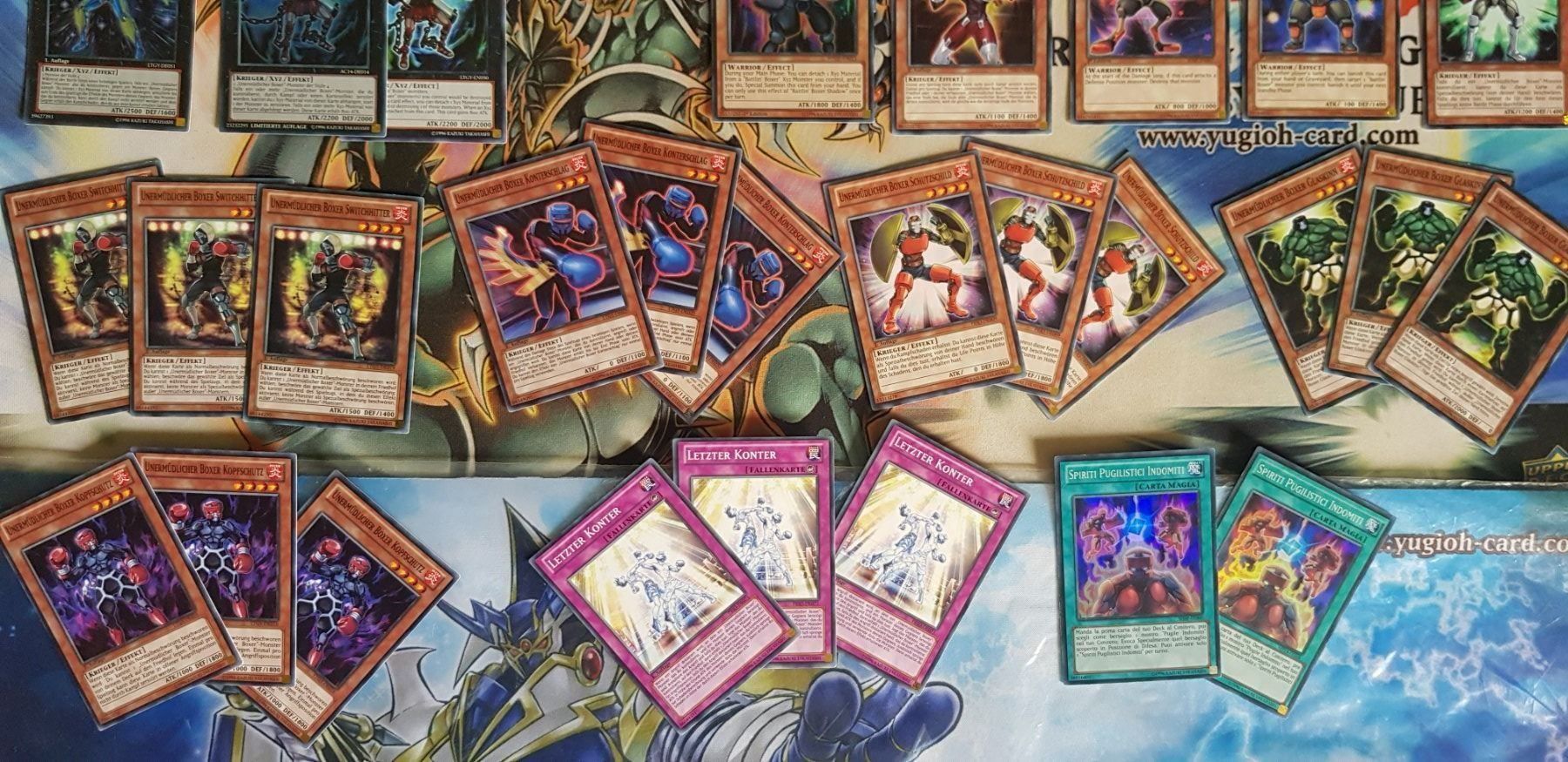 Yugioh Carte collezionabili: Yugioh Boxer Set – Usato da Opfikon venduto da Steins_Siedlung 3