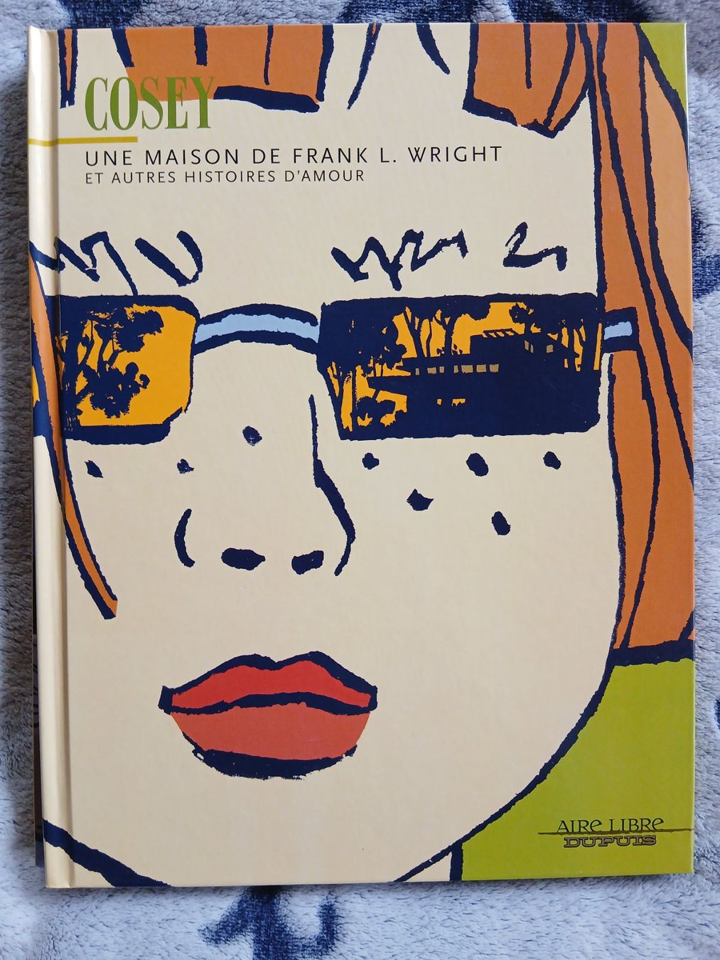 Fumetti: AIRE LIBRE COSEY UNE MAISON DE FRANK L WRIGHT TTBE EO – Usato da Puidoux venduto da Efango