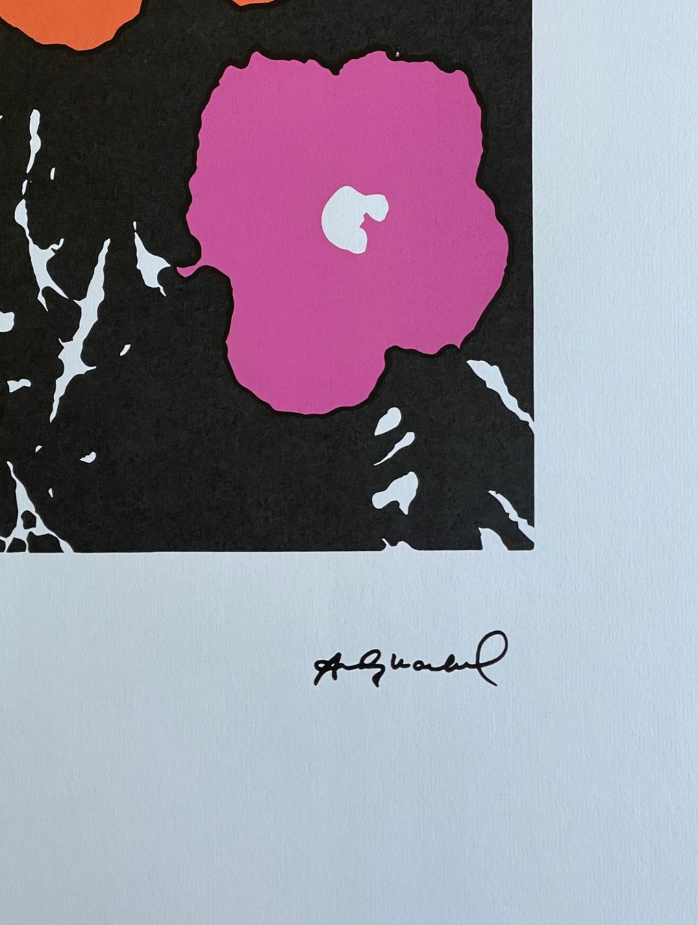 Foto & Immagini: Andy Warhol - Flowers 2/100 - Neu eingetroffen – Nuovo e nell'imballaggio originale da Adligenswil venduto da O_D_E_O_N 3