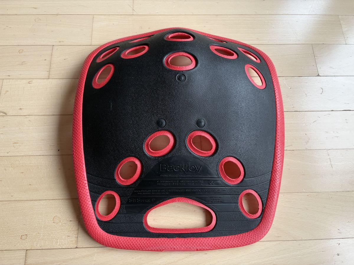 Sedie: Backjoy SitSmart Posture – Usato da Lausanne venduto da ValeMerky 2