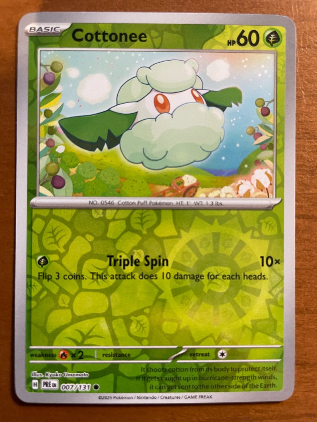 Pokémon Carte collezionabili: Pokemon Cottonee Reverse (Versand gratis) – Nuovo (secondo la descrizione) da Chur venduto da Angerson