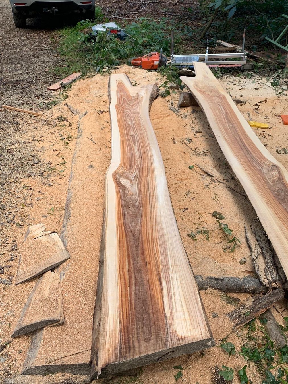 Articoli in legno: Ulmen Bretter – Nuovo (secondo la descrizione) da Lotzwil venduto da gia_bn2w 1