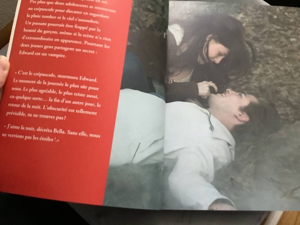 Libri: Livre Twilight neuf, 143 pages – Nuovo e nell'imballaggio originale da Icogne venduto da Juka 1