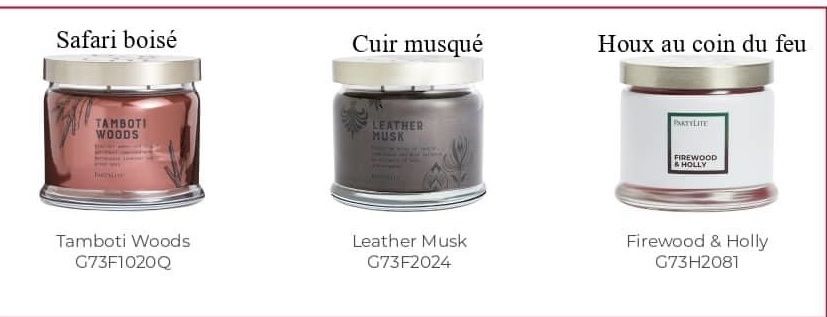 Pot 3 mèches ️ ️ Sweet citrus & daisy ️ ️ PARTYLITE en stock idée cadeau