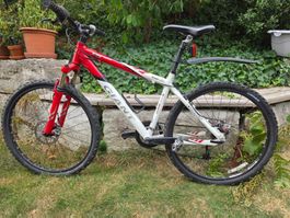 Giant Mountainbike mit Vordergabelfederung für Damen