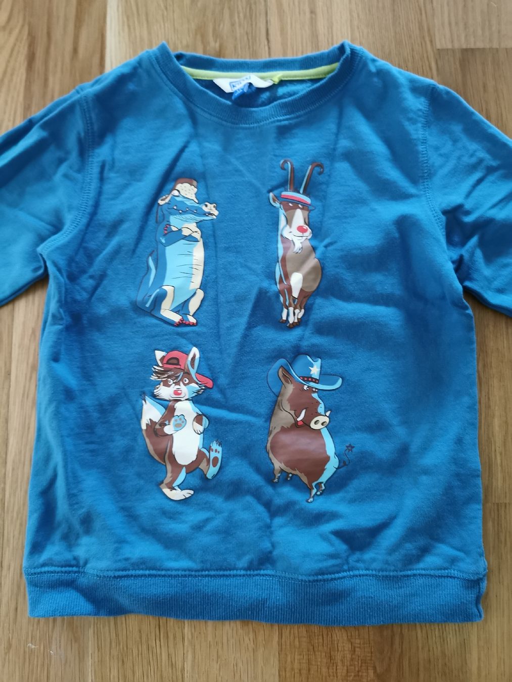 Maglioni & Felpe: Pullover mit Tiermotiven, Gr. 116, 100% Baumwolle – Usato da Seuzach venduto da Tureda 1