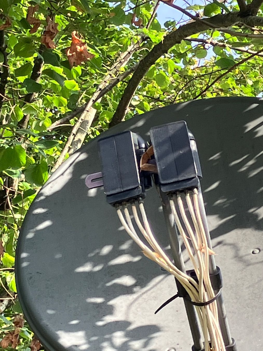 Schalen: Satellitenschüssel – Gebraucht aus Beromünster von iaf_8rr9 1