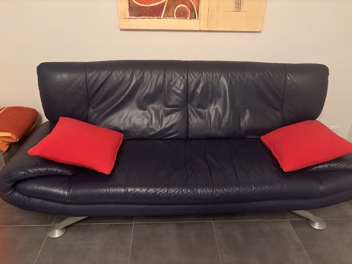 Divani: Zwei blaue Sofas – Usato da Amriswil venduto da dan_b7hm 1