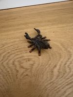 Spielfigur Skorpion schwarz braun aus Kunststoff gebraucht
