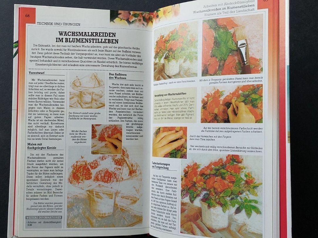 Libri: Blumenmalerei – Usato da Zürich venduto da t24_de 3