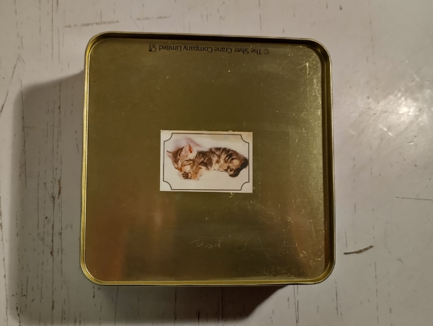 Altro in Decorazioni & Accessori: Blechbüchse, Hunde, 3D Deckel – Usato da Bellach venduto da JingleCherry 3
