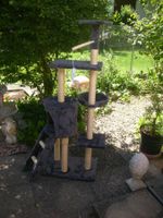 Schöner und stabiler Katzenbaum