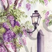 Serviette lantern (1529) 2Stk.