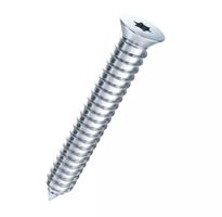 Schrauben  7.5x42 T30 verzinkt - 100Stk/Paket