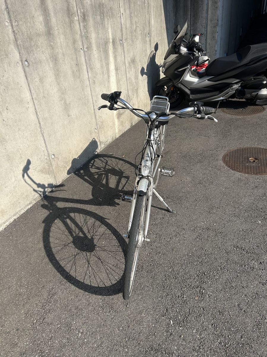 Leopard Biciclette: Bicicletta elettrica Leopard Prima II – Usato da Mendrisio venduto da sam_g29w 3