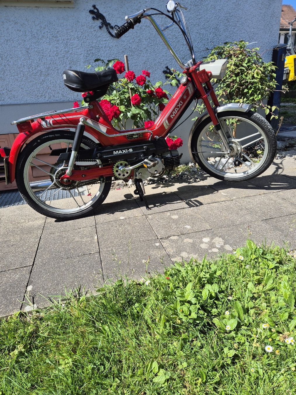 Puch Mofas: Puch Maxi    mit Ausweis u.Nummer – Gebraucht aus kloten von eismeister33 1