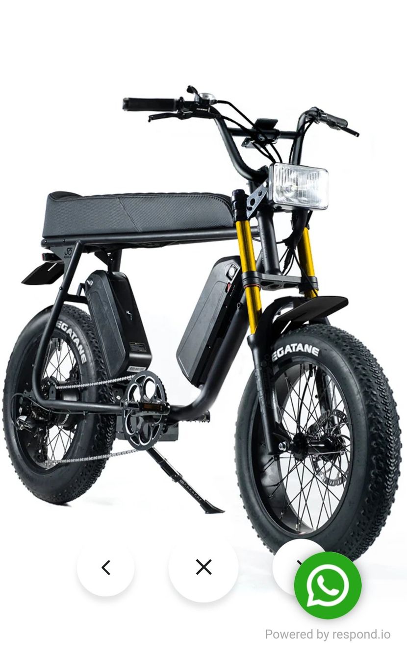 Biciclette: Vélo électrique R2S biplace – Nuovo (secondo la descrizione) da Lausanne venduto da Reska 1
