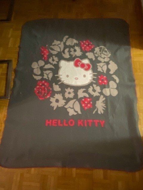 Coperte: Decke Hello Kitty – Usato da Emmen venduto da Aribini