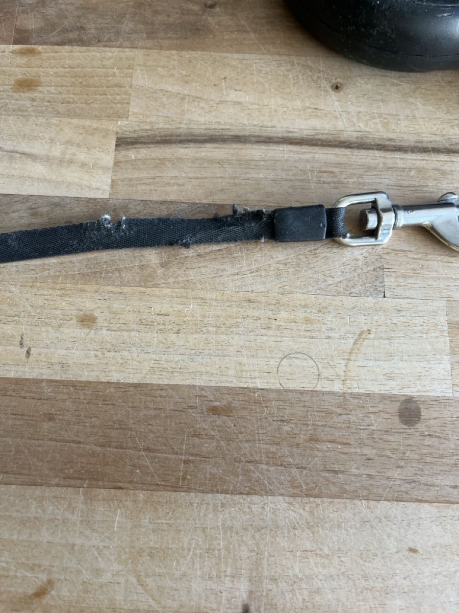 Flexi Guinzagli & Collari: Flexi Roll-Leine schwarz mit Gebrauchsspuren – Usato da st. gallen venduto da ludifigos 1
