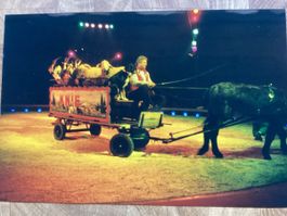 Circus Knie Foto 1997